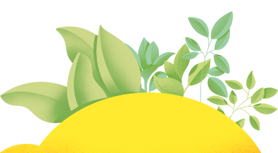 illustration soleil avec des plantes qui poussent dessus